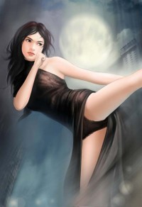長安流雲書